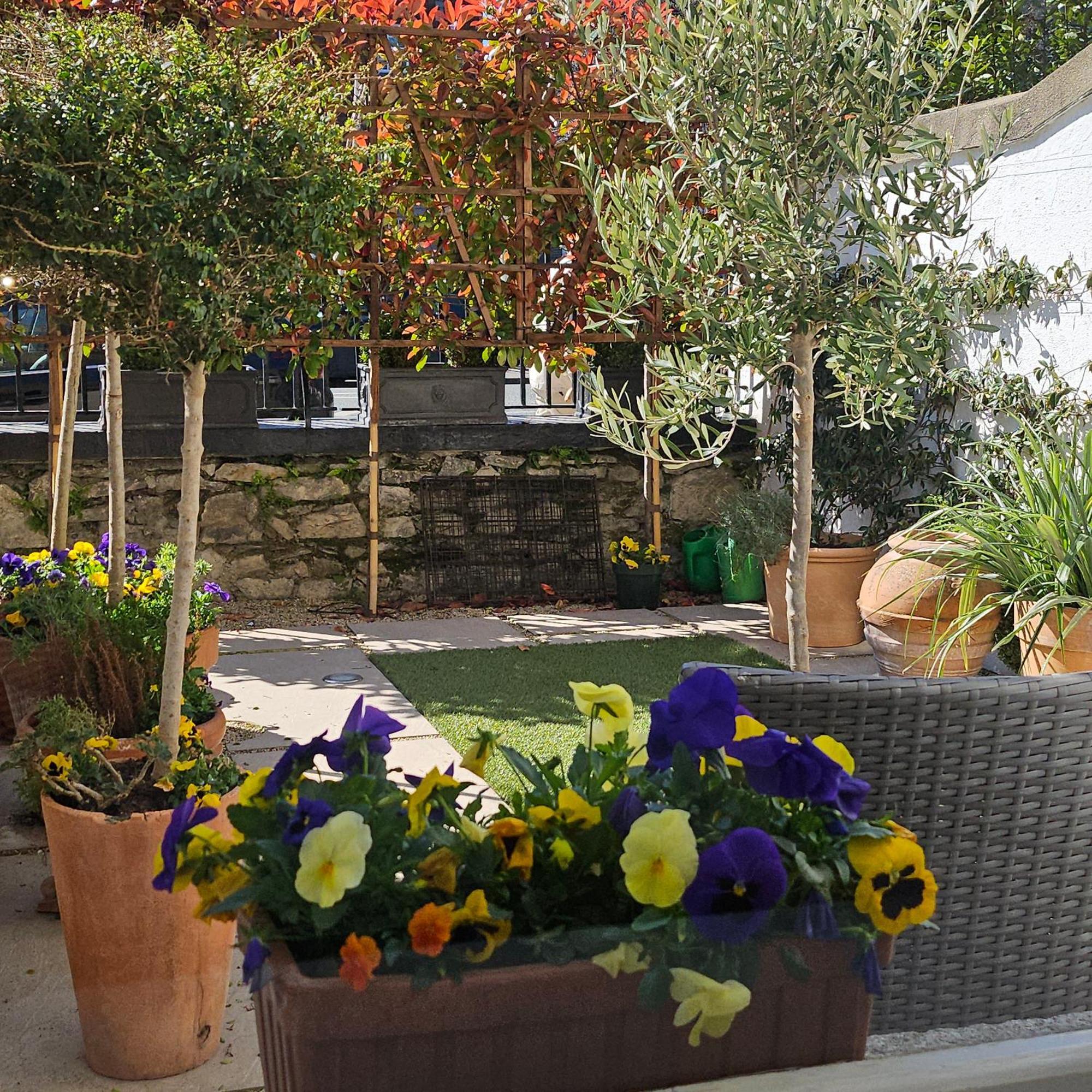 Pembroke Guest Suite Dublin Eksteriør bilde