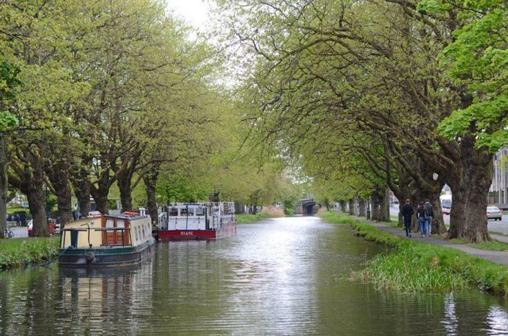 Pembroke Guest Suite Dublin Eksteriør bilde
